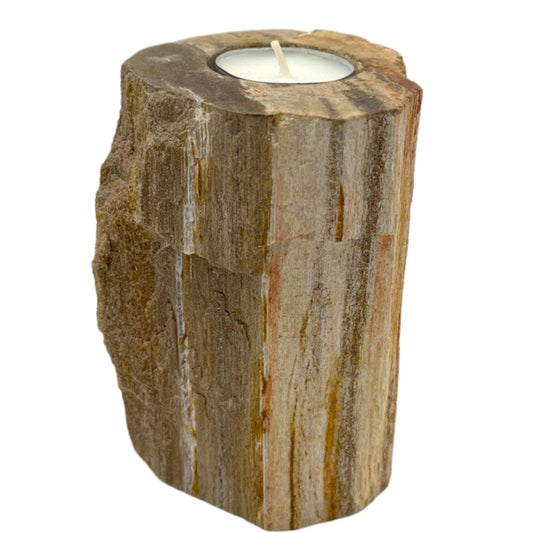 Petrified Wood Candle Holder – Tall Single Slot | Fossilised Tea Light Holder