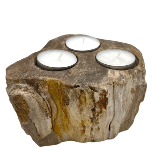 Petrified Wood Candle Holder – Triple Slot | Fossilised Tea Light Holder