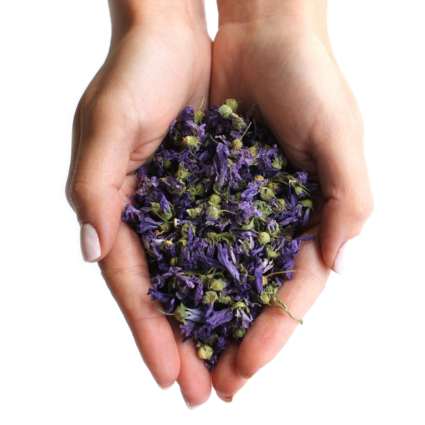 Dried Mallow Flowers – 500g | Soothing, Emollient & Anti-Inflammatory