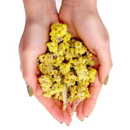 Dried Everlasting Flowers – 500g | Astringent, Antioxidant & Decorative