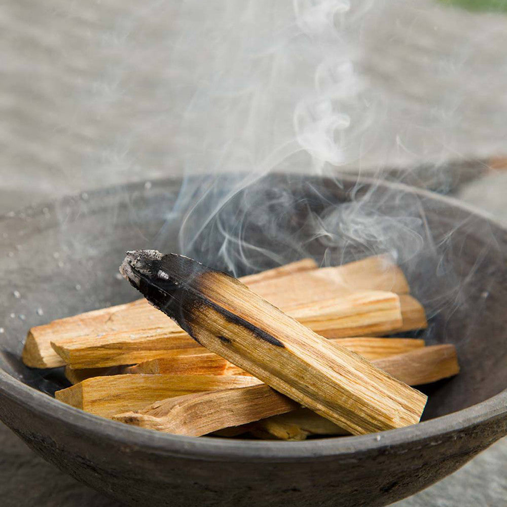 Green Tree Palo Santo Wood Sticks – 50g | Ethically Harvested Ritual Wood from Naturally Fallen Branches