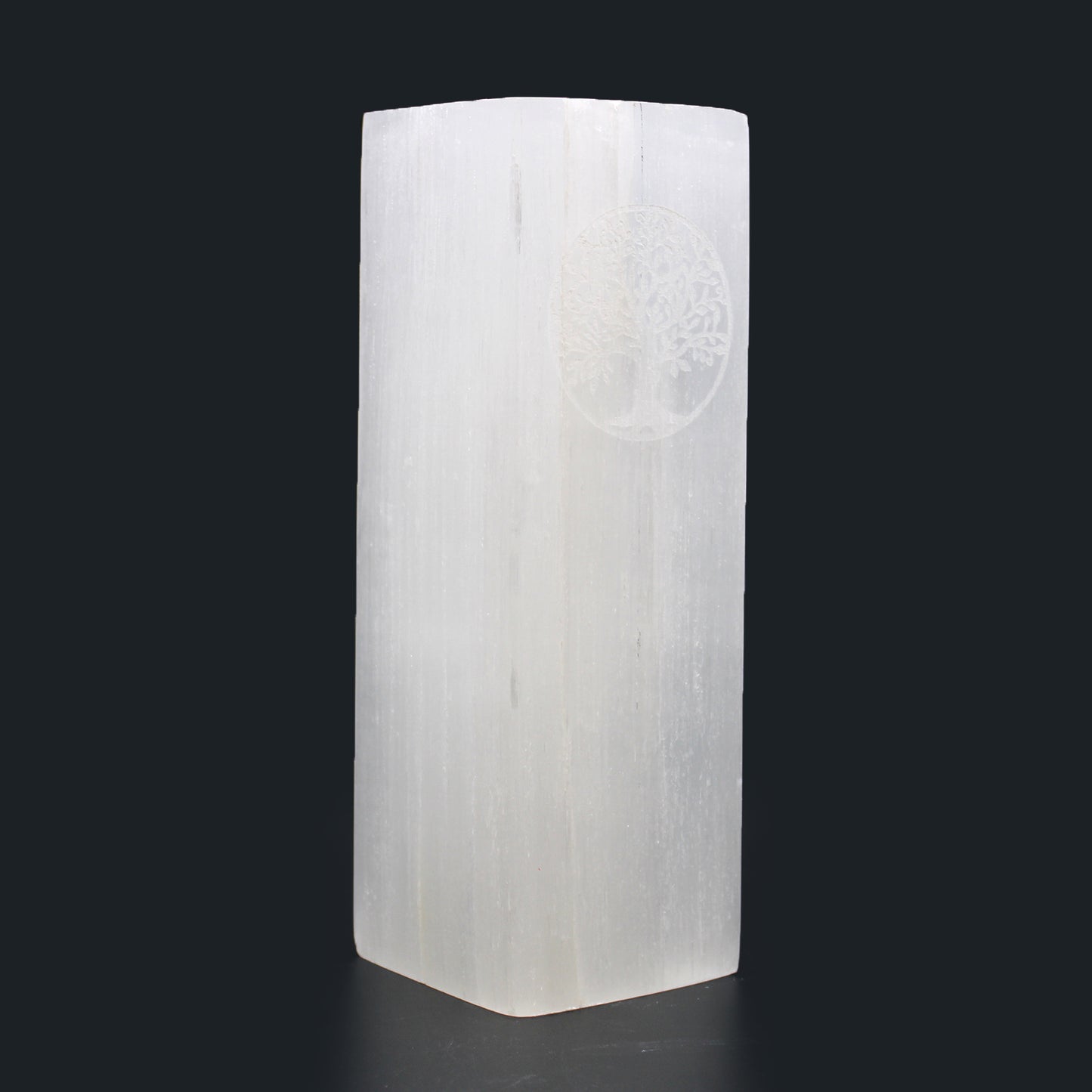 Selenite Block Lamp – Tree of Life | Hand-Carved Natural Crystal Light