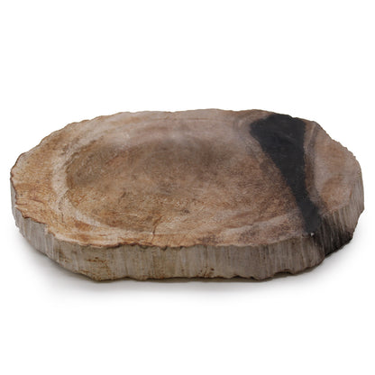 Petrified Wood Soap Dish – Black Design | Natural Fossilised Wood
