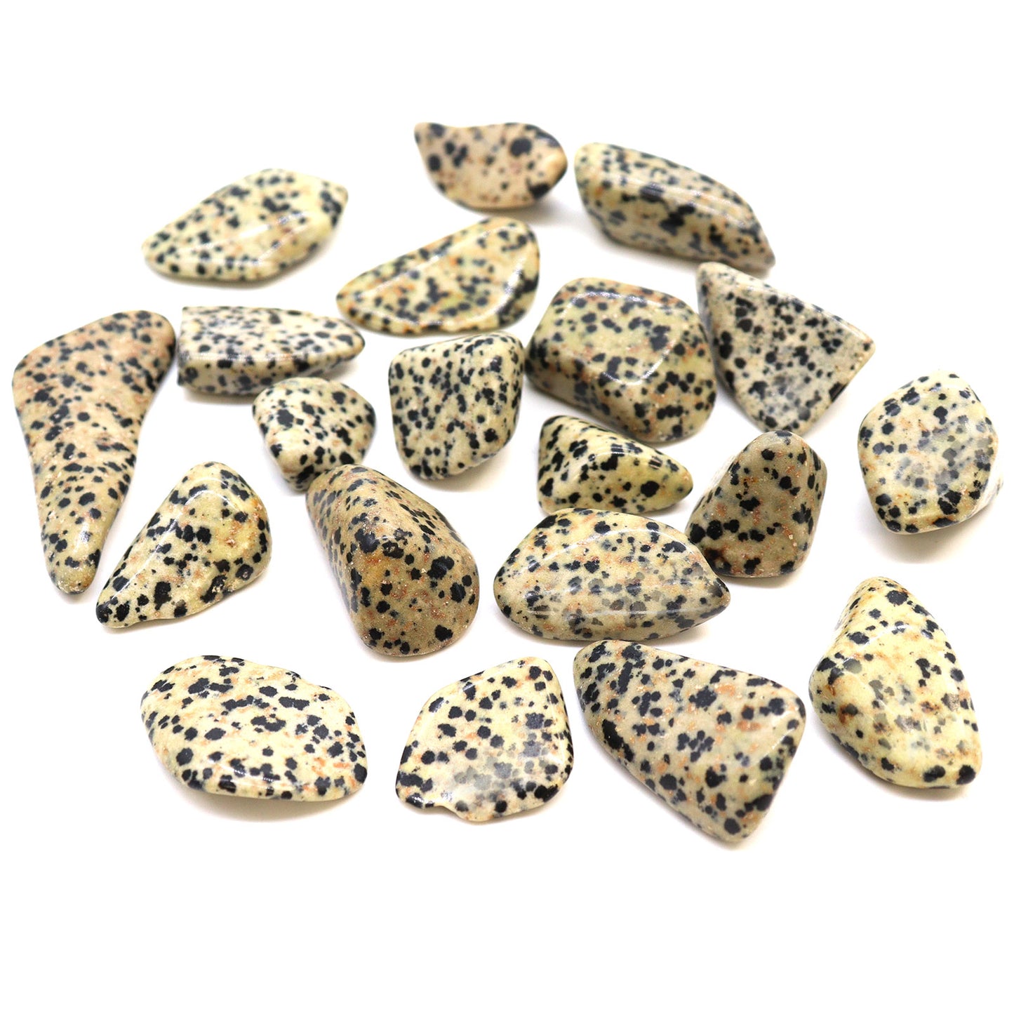 Dalmatian Jasper Tumble Stones – Large | 24-Pack
