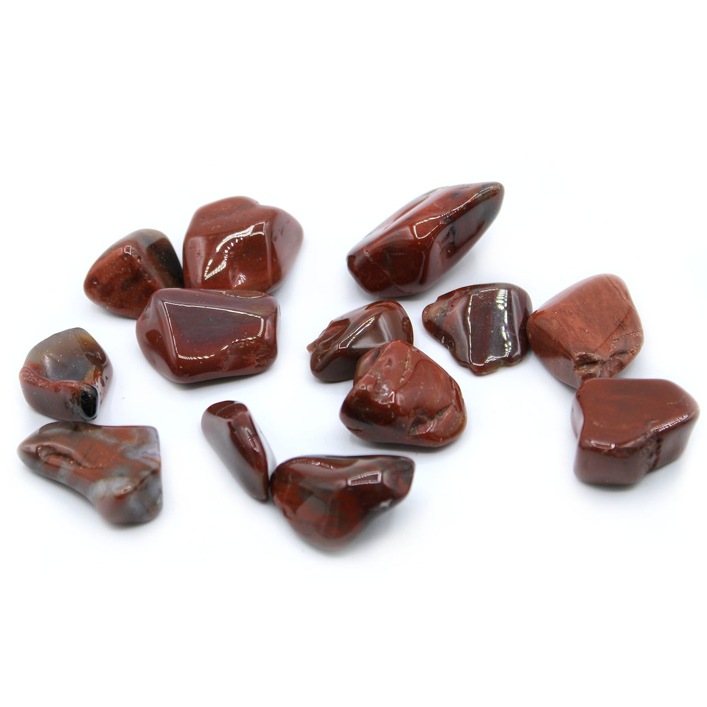 Petrified Wood Tumble Stones – Large | 24-Pack