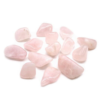 Rose Quartz Tumble Stones – Large | 24-Pack