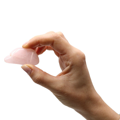 Rose Quartz Tumble Stones – Large | 24-Pack