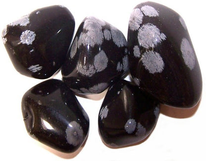 Obsidian Snowflake Tumble Stones – Large | 24-Pack