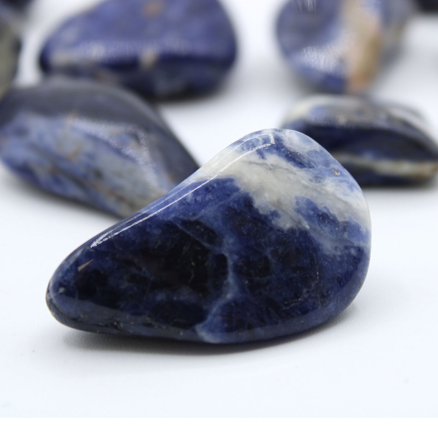 Sodalite Tumble Stones – Large | 24-Pack
