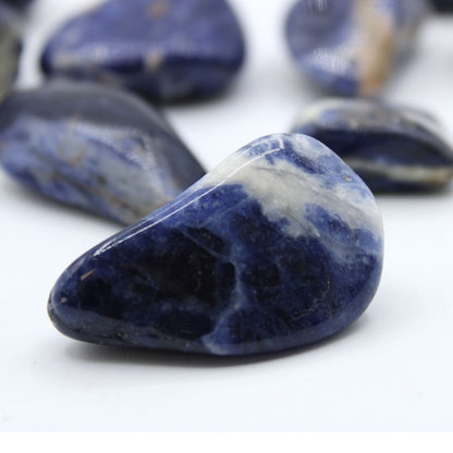 Sodalite Tumble Stones – Large | 24-Pack