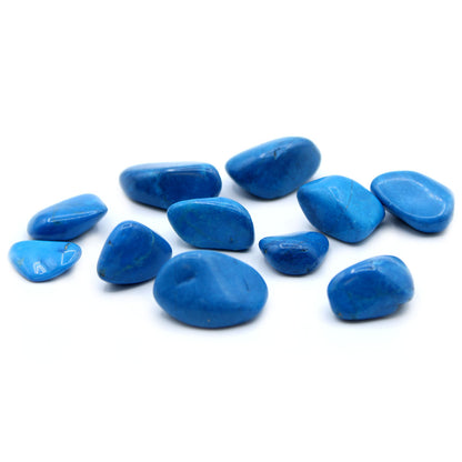 Blue Howlite Tumble Stones – Large | 24-Pack