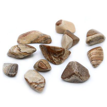 Kalahari Desert Jasper Tumble Stones – Large | 24-Pack