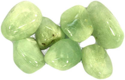 Prehnite Tumble Stones – Large | 24-Pack