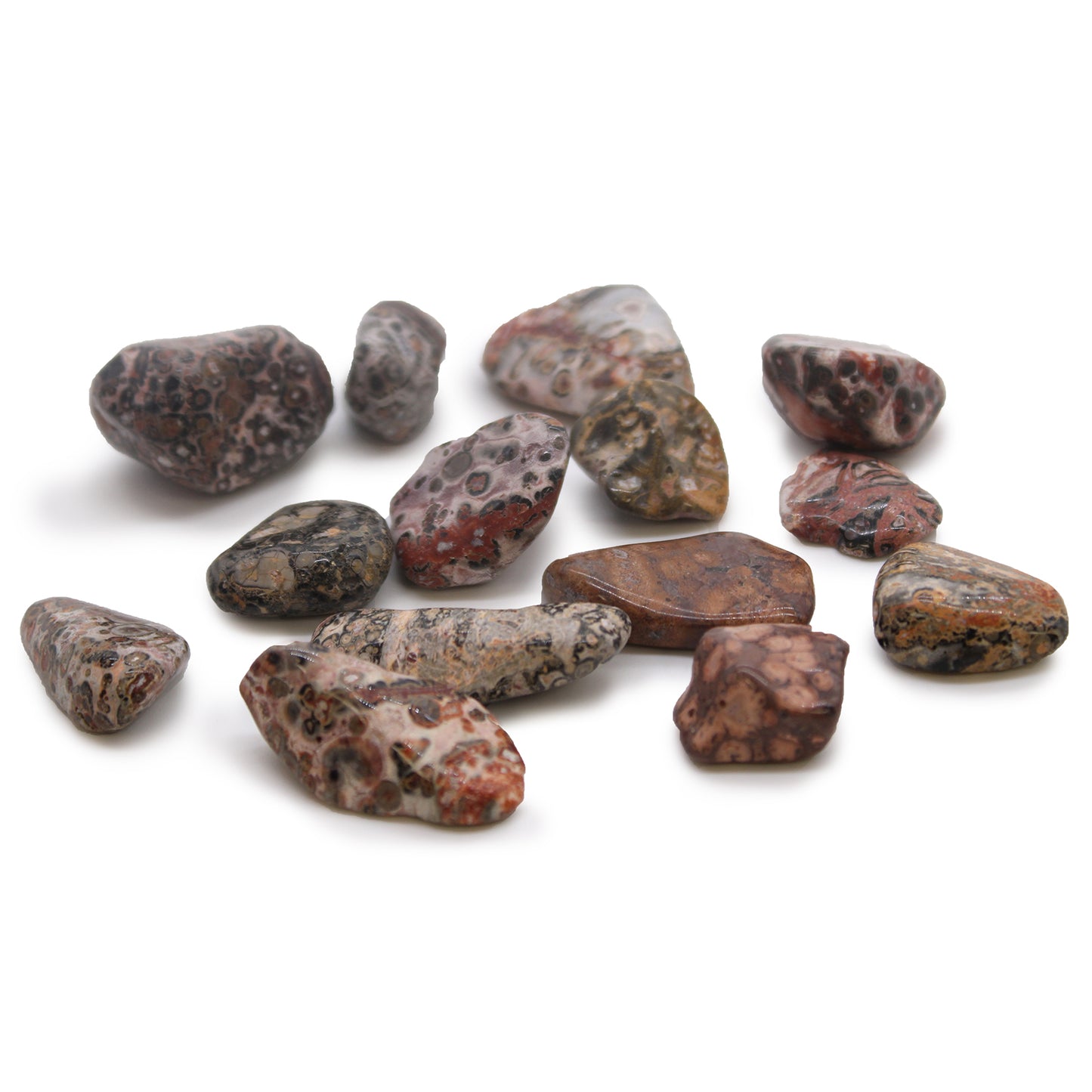Leopard Skin Jasper Tumble Stones – Medium | 24-Pack