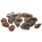 Petrified Wood Tumble Stones – Medium | 24-Pack