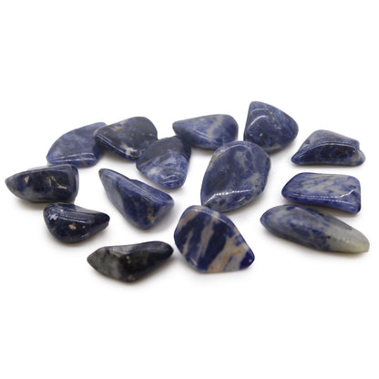 Sodalite Tumble Stones – Medium | 24-Pack