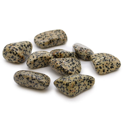 Dalmatian Jasper Tumble Stones – Extra Large | 18-Pack