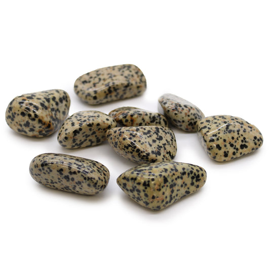 Dalmatian Jasper Tumble Stones – Extra Large | 18-Pack