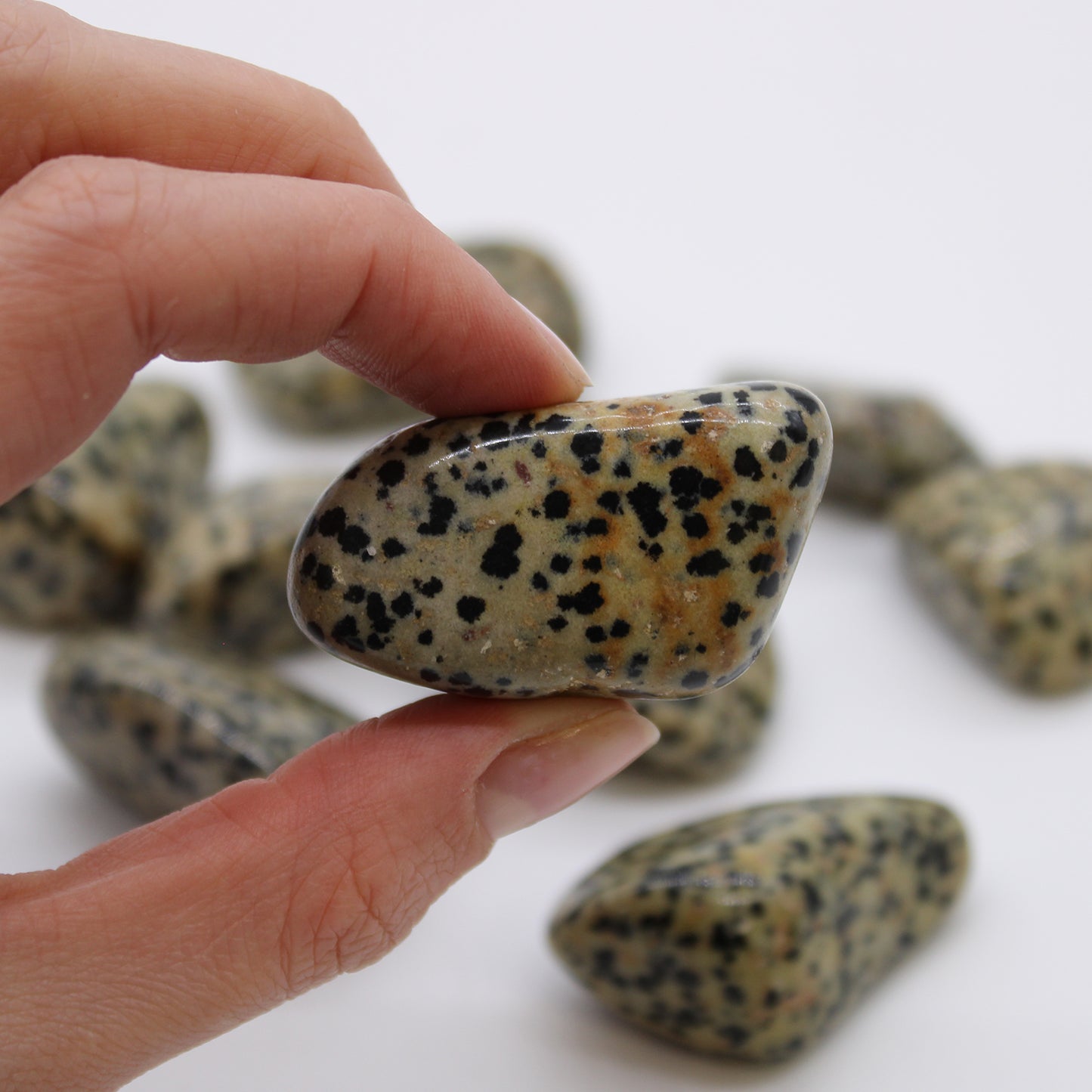 Dalmatian Jasper Tumble Stones – Extra Large | 18-Pack