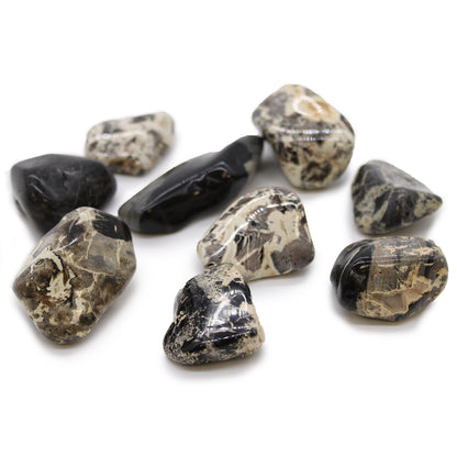 Silverleaf Jasper Tumble Stones – Extra Large | 18-Pack