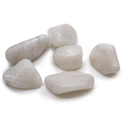 Moonstone Tumble Stones – Extra Large | 18-Pack