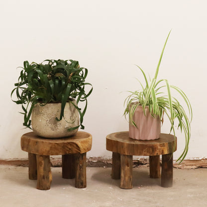 Medium Natural Teak Pad Displays – Set of 2 | Handcrafted with Sustainably Sourced Teak Wood
