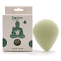 Teardrop Konjac Sponge – Aloe Vera | Healing
